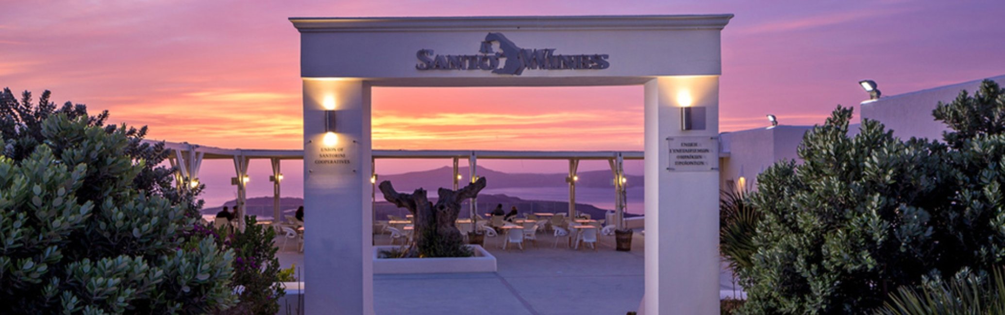 Santo Wines