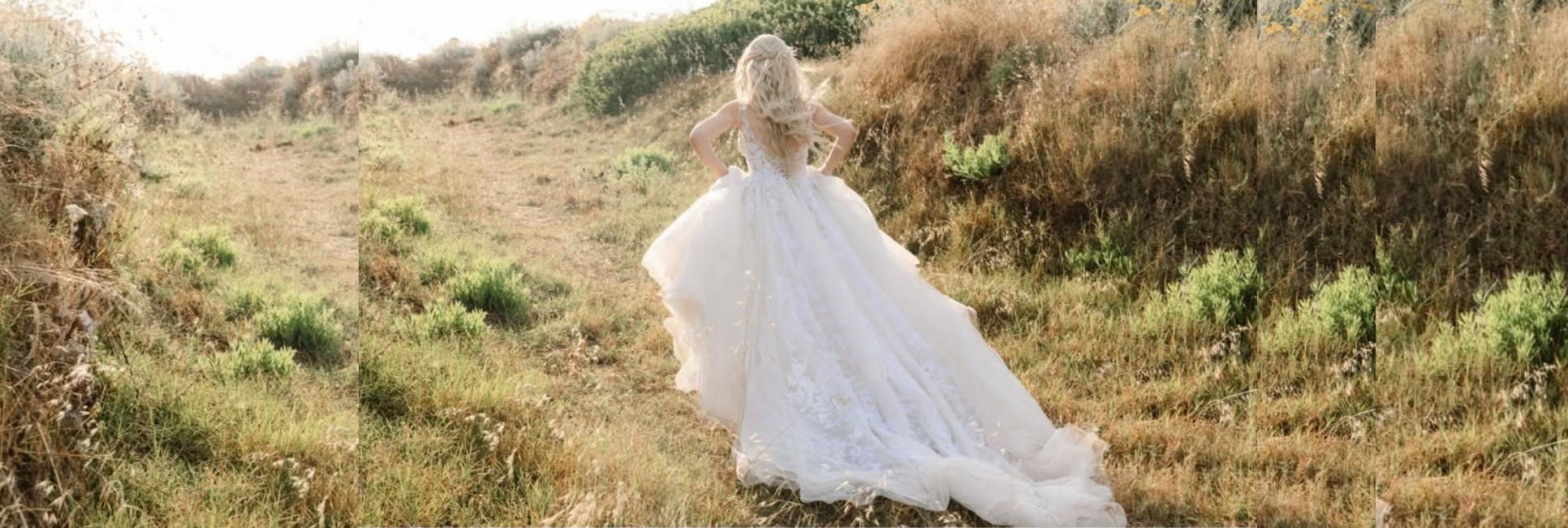 Penelope Penelope Wedding Planner
